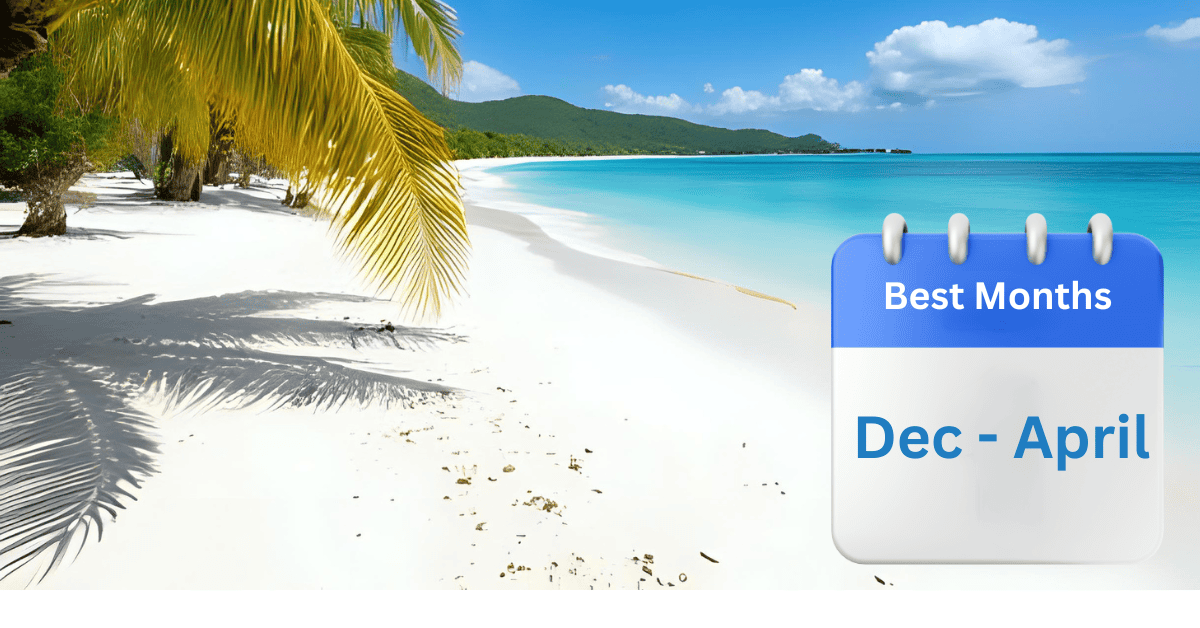 Best Times to Visit Bávaro Beach: Avoiding Crowds and Sargassum