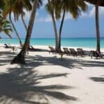 Tropical beach with palm trees and sun loungers.