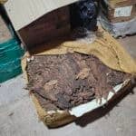 Open box with dried tobacco leaves inside.